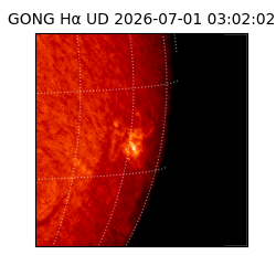 gong - 2026-07-01T03:02:02