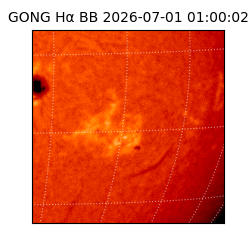 gong - 2026-07-01T01:00:02