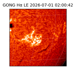 gong - 2026-07-01T02:00:42