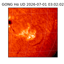 gong - 2026-07-01T03:02:02
