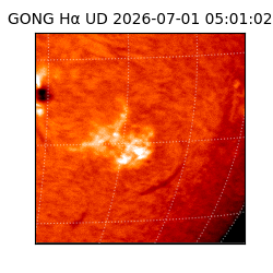 gong - 2026-07-01T05:01:02