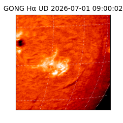 gong - 2026-07-01T09:00:02