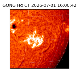 gong - 2026-07-01T16:00:42