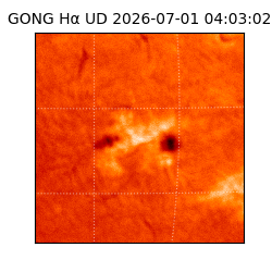 gong - 2026-07-01T04:03:02