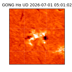 gong - 2026-07-01T05:01:02
