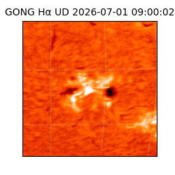gong - 2026-07-01T09:00:02