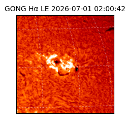 gong - 2026-07-01T02:00:42