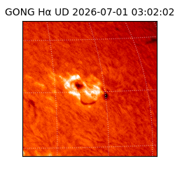 gong - 2026-07-01T03:02:02