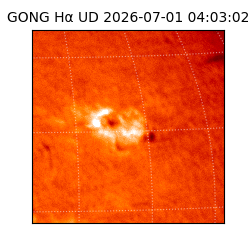 gong - 2026-07-01T04:03:02