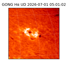 gong - 2026-07-01T05:01:02