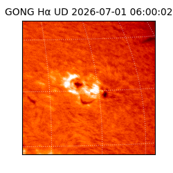 gong - 2026-07-01T06:00:02