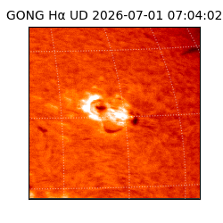 gong - 2026-07-01T07:04:02