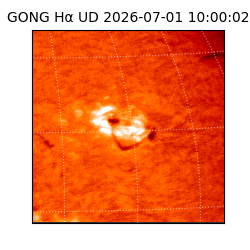 gong - 2026-07-01T10:00:02