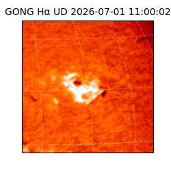 gong - 2026-07-01T11:00:02