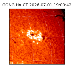 gong - 2026-07-01T19:00:42