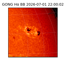 gong - 2026-07-01T22:00:02