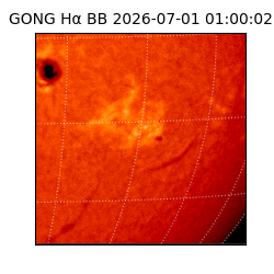 gong - 2026-07-01T01:00:02
