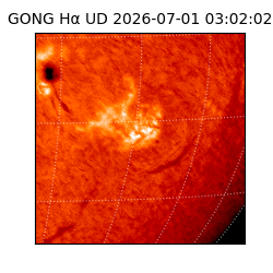 gong - 2026-07-01T03:02:02