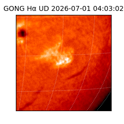 gong - 2026-07-01T04:03:02