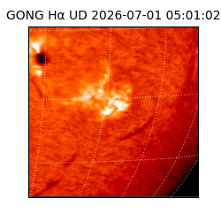gong - 2026-07-01T05:01:02