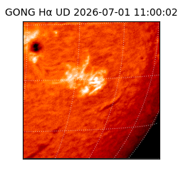 gong - 2026-07-01T11:00:02