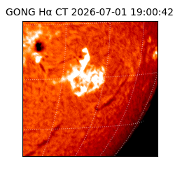 gong - 2026-07-01T19:00:42