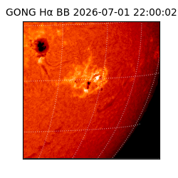 gong - 2026-07-01T22:00:02