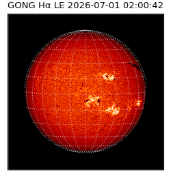 gong - 2026-07-01T02:00:42