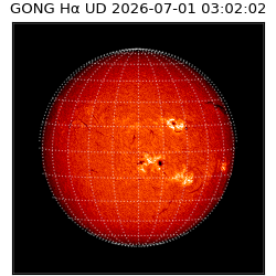 gong - 2026-07-01T03:02:02