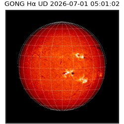 gong - 2026-07-01T05:01:02