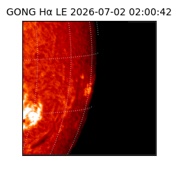 gong - 2026-07-02T02:00:42