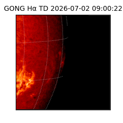 gong - 2026-07-02T09:00:22