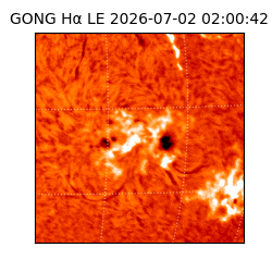 gong - 2026-07-02T02:00:42