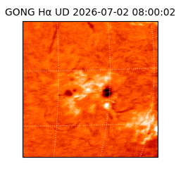 gong - 2026-07-02T08:00:02