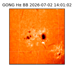gong - 2026-07-02T14:01:02