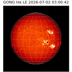 gong - 2026-07-02T03:00:42