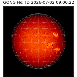 gong - 2026-07-02T09:00:22