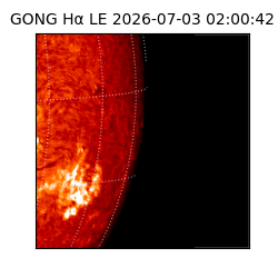 gong - 2026-07-03T02:00:42