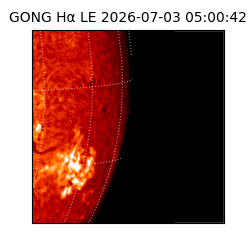 gong - 2026-07-03T05:00:42