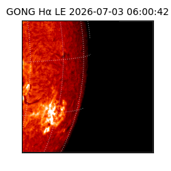 gong - 2026-07-03T06:00:42