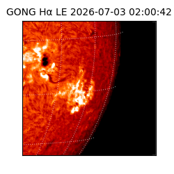 gong - 2026-07-03T02:00:42
