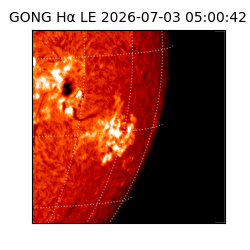 gong - 2026-07-03T05:00:42