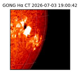 gong - 2026-07-03T19:00:42