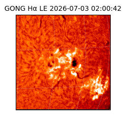 gong - 2026-07-03T02:00:42