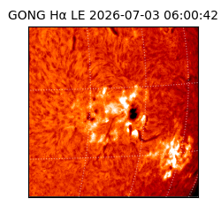 gong - 2026-07-03T06:00:42