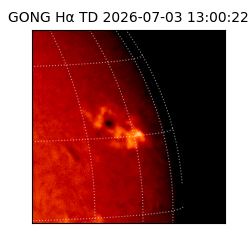 gong - 2026-07-03T13:00:22