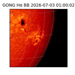 gong - 2026-07-03T01:00:02