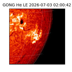 gong - 2026-07-03T02:00:42