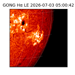 gong - 2026-07-03T05:00:42