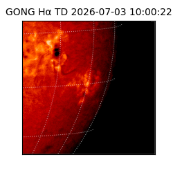 gong - 2026-07-03T10:00:22